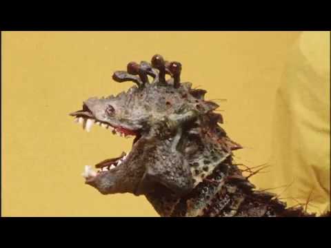 Doctor Who: Carnival of Monsters - Behind the Scenes