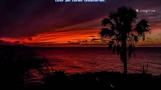 LUNA ENAMORADA   EL CONSORCIO