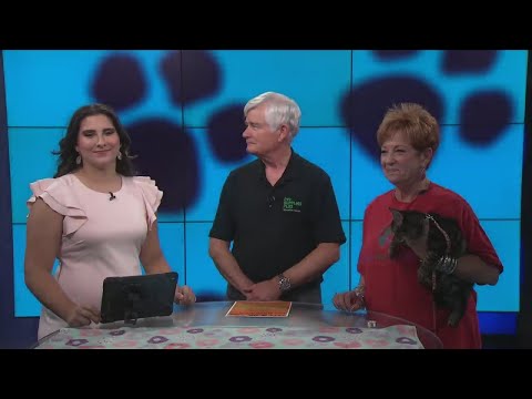 Pet Store Tyler Texas