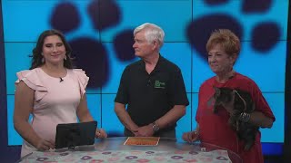 Pet Supplies Plus to host Pets in the Park event in Tyler
