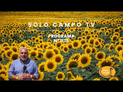 Solo Campo TV Programa Nº1178 - Abril 2024