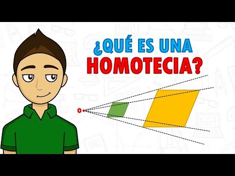 Homothetic Connections: Super Easy - For Beginners