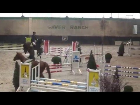 Moccalino de Riderfort 4yo first show