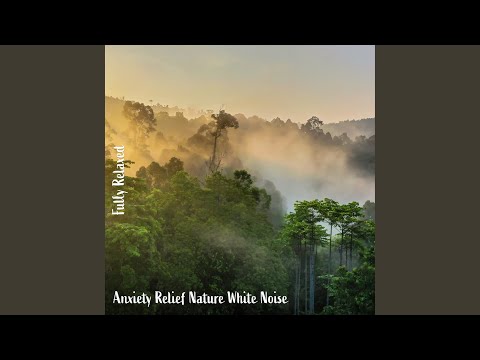 Anxiety Relief Nature White Noise, Pt. 20