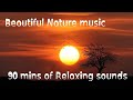 Beautiful Nature Music 90 Mins Of Relaxing Ambient Non Copyright Audio Library Music Enjoy