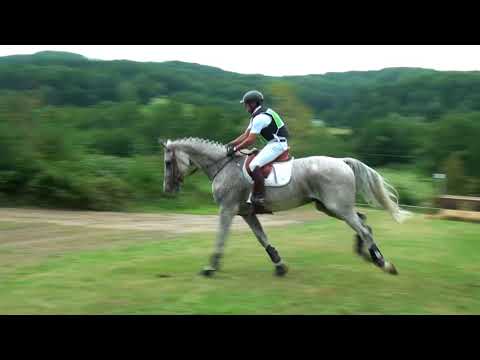 Németh Gábor - Cabrio - A  - Feldbach 01-03.09.2017