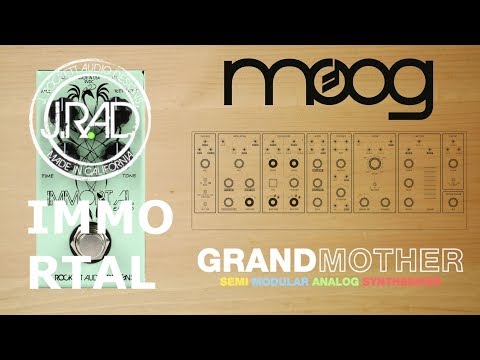 Pedals4Synths - J RAD IMMORTAL ECHO W/ Moog Grandmother