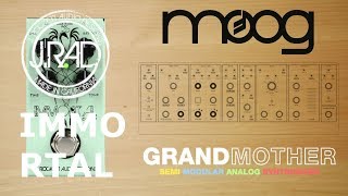 Video thumbnail for Pedals4Synths - J RAD IMMORTAL ECHO W/ Moog Grandmother by Audiorial