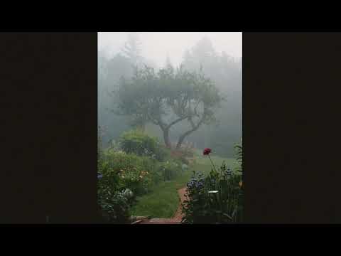 (FREE) Fats'e x Guardin Midwest Emo Type Beat - "always lost" prod. Cl6udy x Nihil空