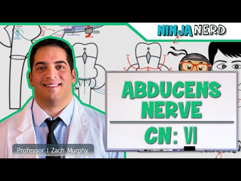 Neurologie | Nervus abducens: Hirnnerv VI