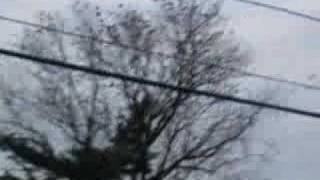 Swarm-Attack Of Birds 2