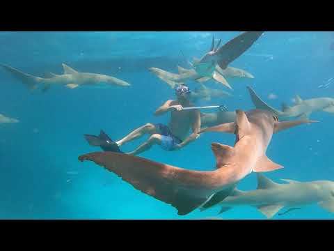 Kudhi Jazeeraa - Fenthashi Khaleel