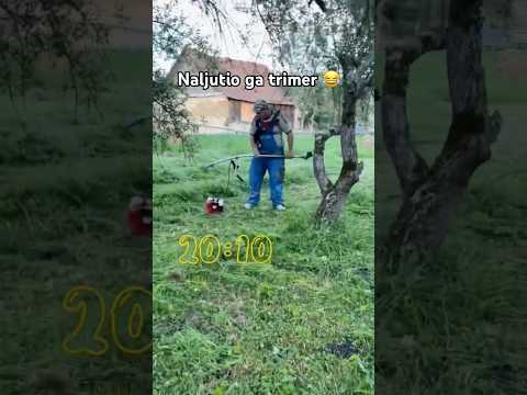 Neće ga više nervirati sigurno 😂 #shorts #balkan #comedy