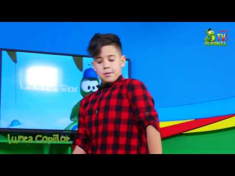 Mihai Ungureanu - Dans Mixt