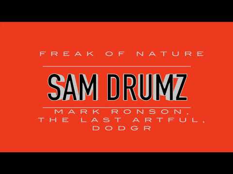 Freak Of Nature - Mark Ronson, The Last Artful, Dodgr - Drum Cover