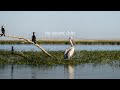 I Travelled To Romania To Search For Birds