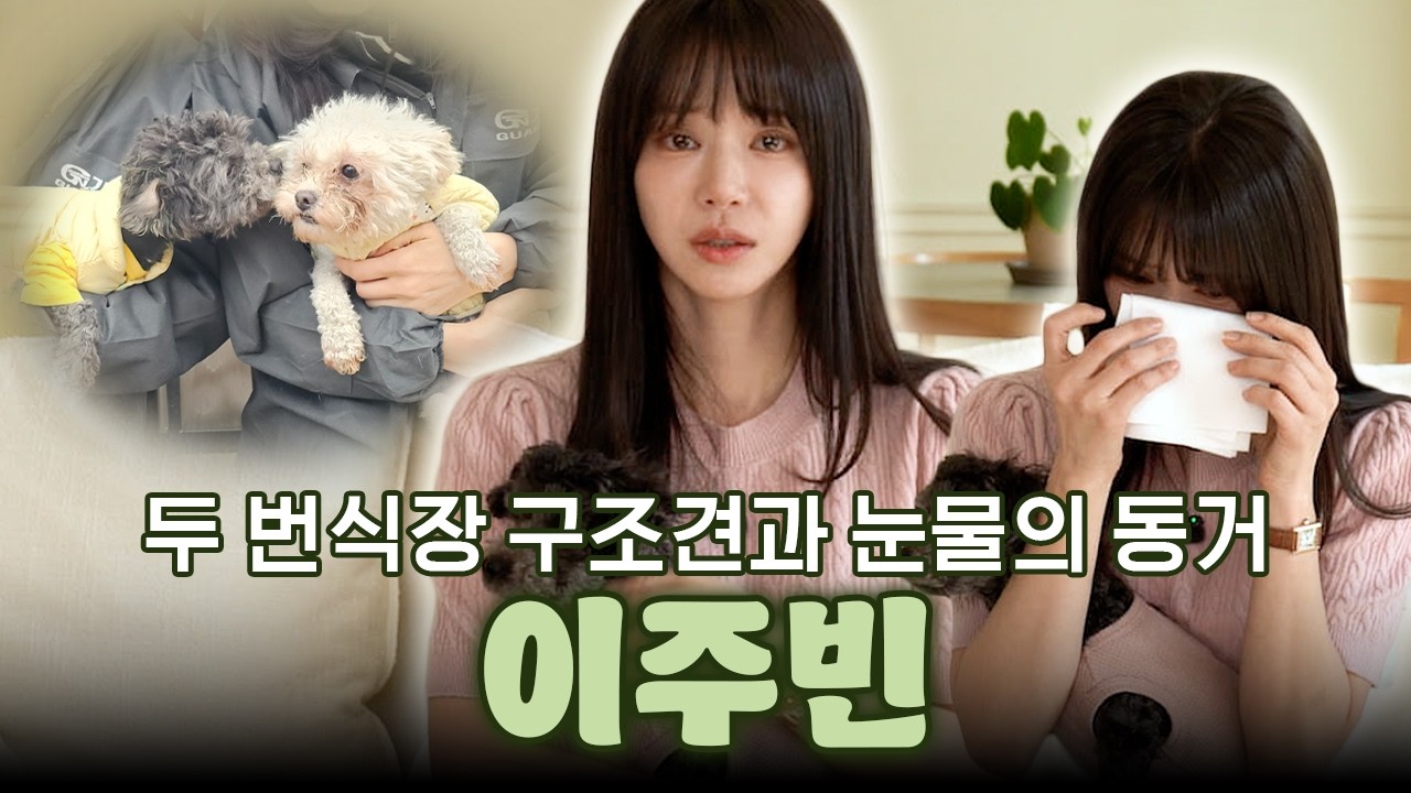 李珠彬，公開繁殖場救援犬的寄養日常...“希望能安心地睡一覺”淚流滿面