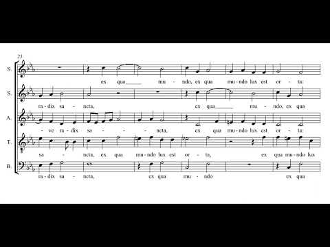 Alonso Lobo: Ave regina coelorum - Plus Ultra