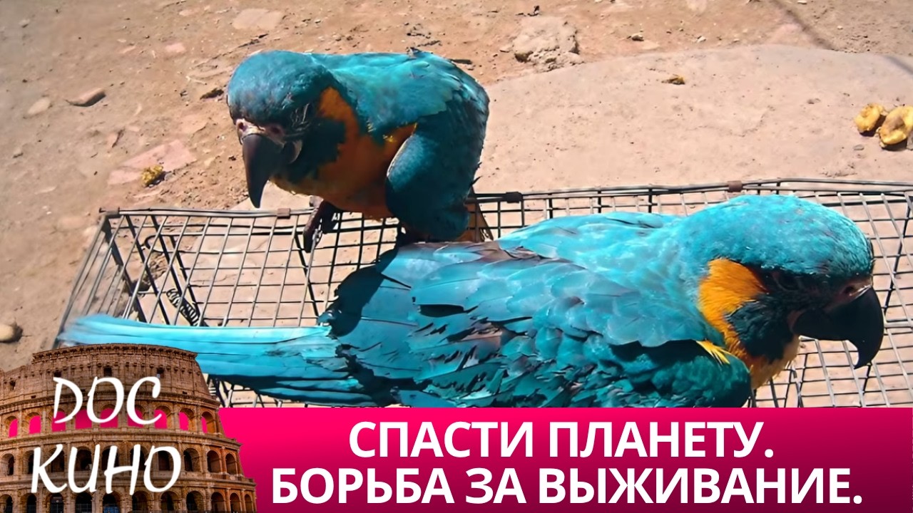 🎭СПАСТИ ПЛАНЕТУ.  БОРЬБА ЗА ВЫЖИВАНИЕ  🌎 ДОКУМЕНТАЛЬНОЕ КИНО 🎆 2019