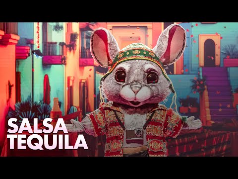 Chinchilla - ‘Salsa Tequila’ | The Masked Singer | Seizoen 5 | VTM