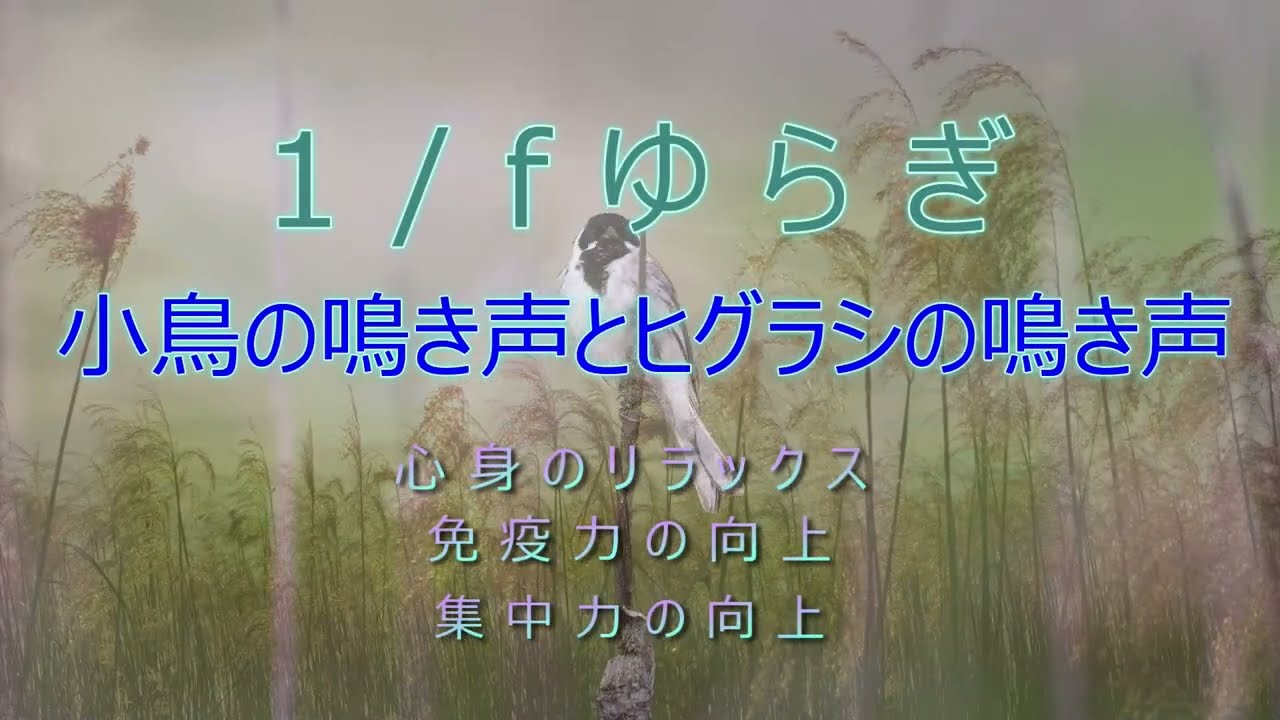 1fゆらぎ　小鳥の鳴き声とヒグラシの鳴き声
