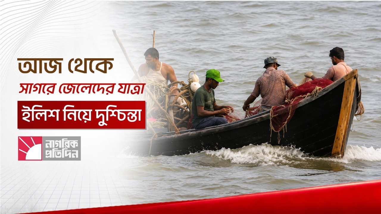 ৫৮ দিনের নিষেধাজ্ঞা শেষে সাগরে ফিরছেন জেলেরা, ইলিশ উৎপাদন কমায় বাড়ছে শঙ্কা