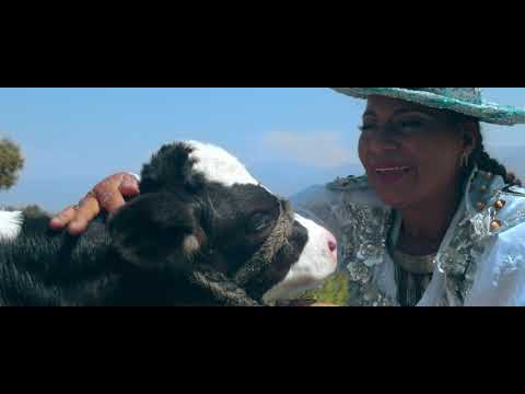QALLARIY BOLIVIA - POLLERAS MULTICOLOR (Video Clip Oficial) Waka Waka