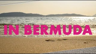 Amazing Job Opportunity in Bermuda