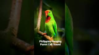 Download lagu P. Burung Beo Gantung mp3