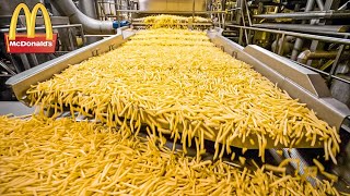 HOW MCDONALD’S FRENCH FRIES ARE MADE. FOOD PRODUCTION