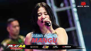 Download lagu INTAN AFIFAH - MANGU | NEW MONATA LIVE ANIV 2nd PLAT AA COLABORATION mp3