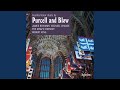 Purcell: Hail! Bright Cecilia, Z. 328 "Ode for St Cecilia's Day": X. In Vain the Am'rous Flute...