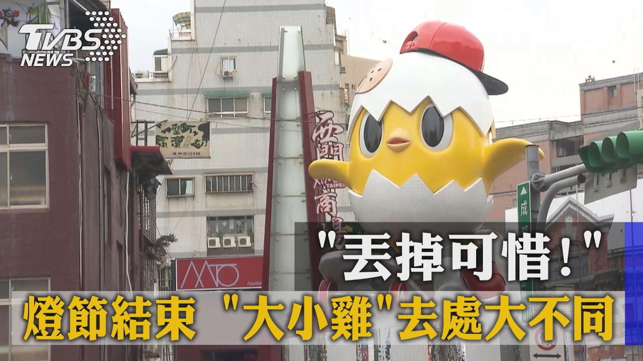 丟掉可惜！燈節結束　「大小雞」去處大不同