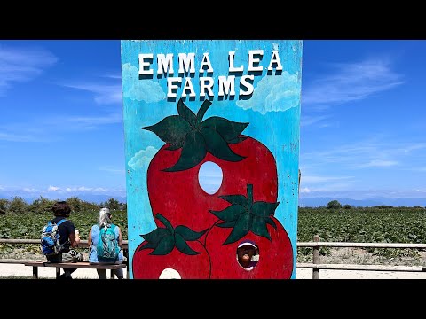 Emma Lea farms