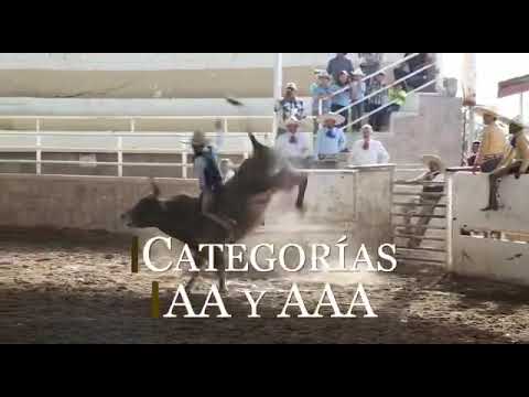 Torneo La Colonial 2022