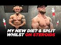 My New Training Cycle / Diet Whilst Using Anabolic Steroids...