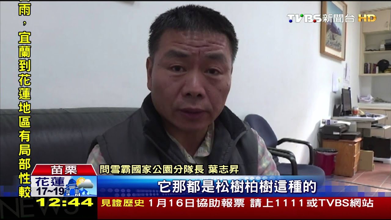 好美!思源埡口霧淞封山 宛如北國風情