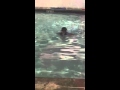 Vritti Swimming