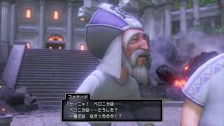 DQ１１をする成人男性