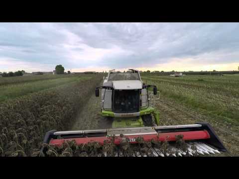SUNSTORM SFH740 WITH CHOPPER SUNFLOWER HEADER