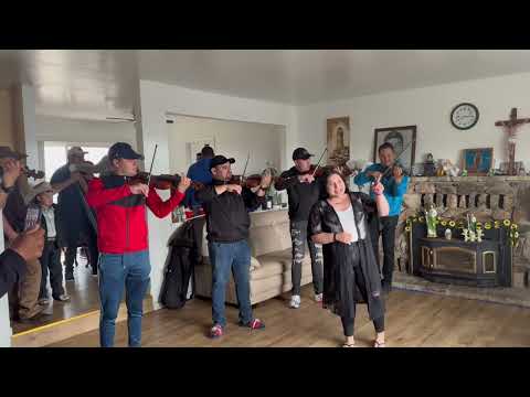 Sufriendo a Solas ~Brisa Diaz & Mariachi Premier #MariachiPremier #BrisaDiaz #AmaliaMendoza #fyp