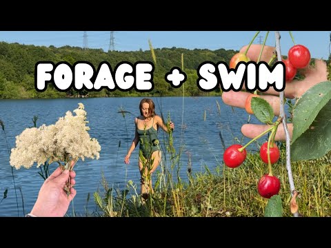 Foraging and Wild Swimming in June