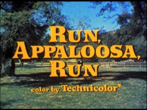 Inizio de "Il cavallo indiano" vers. it. di "Run Appaloosa run" (telecinema da 16mm).