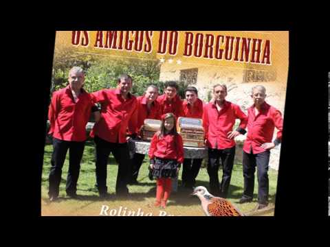 Os Amigos do Borguinha ..." Rolinha Brava"  Novo CD 2013