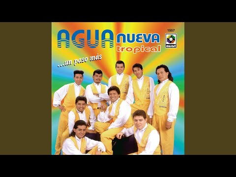 Siempre Te Voy A Querer