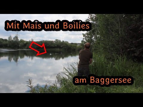 Carp fishing at a small gravel pit lake using boilies and corn.