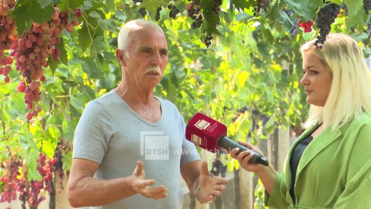 70-vjeçarët që nuk e braktisin tokën. Çifti Ranzi, nga vreshta te vera, gjithçka me duart e tyre