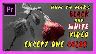 How to Make a VIDEO B&amp;W Except One COLOR in Adobe Premiere Pro 2018