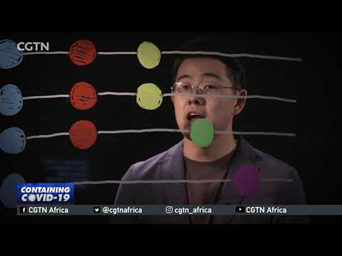 How do scientists track genetic evolution of virus