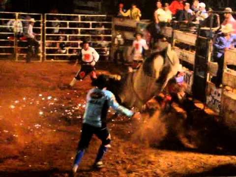 CLAUDEMIR DOS SANTOS vs BALA NA AGULHA